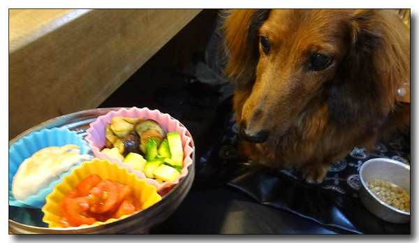 20130805150708.JPG