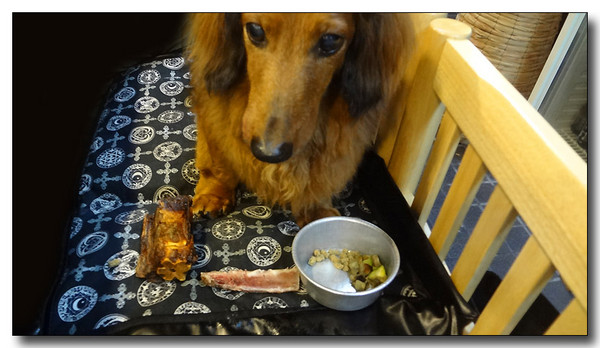 20130805150712.JPG