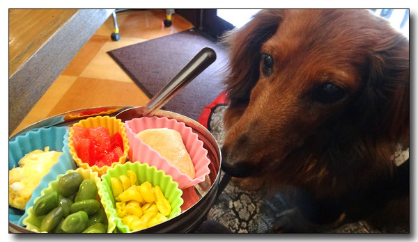 20130805153558.JPG