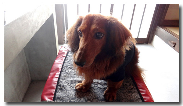 20130805162256.JPG