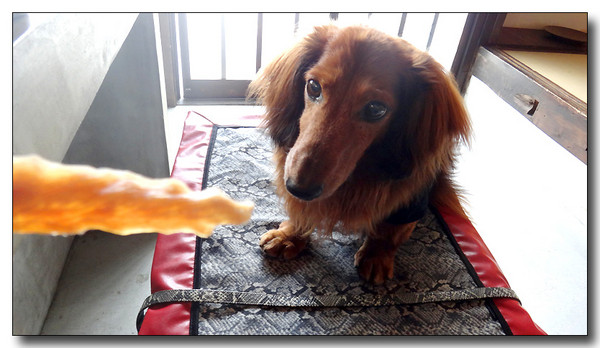 20130805162258.JPG