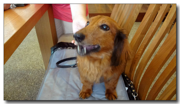 20130805181728.JPG