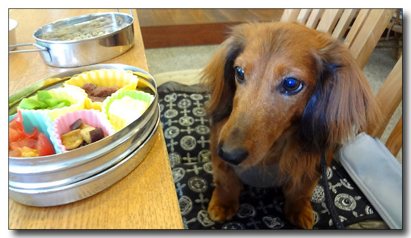 20130805181730.JPG