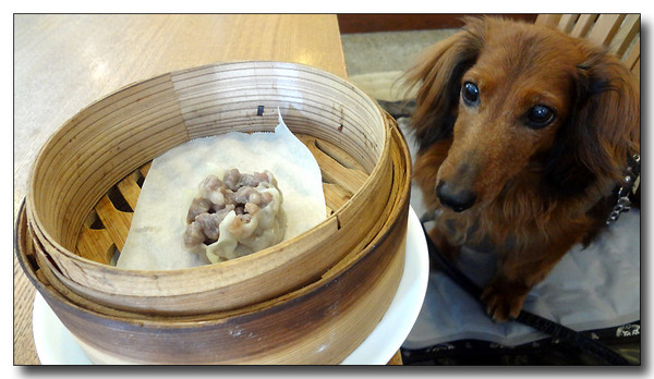 20130805181805.JPG