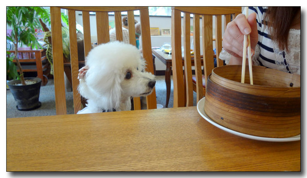 20130805181806.JPG