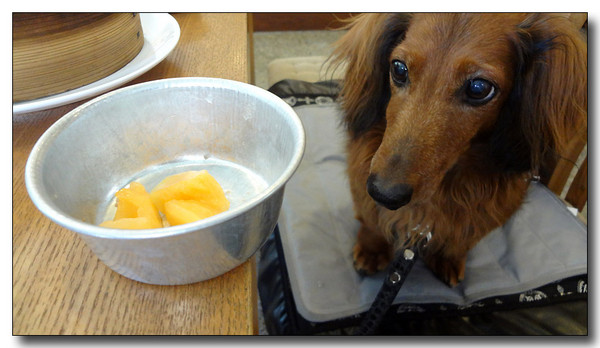 20130805181807.JPG