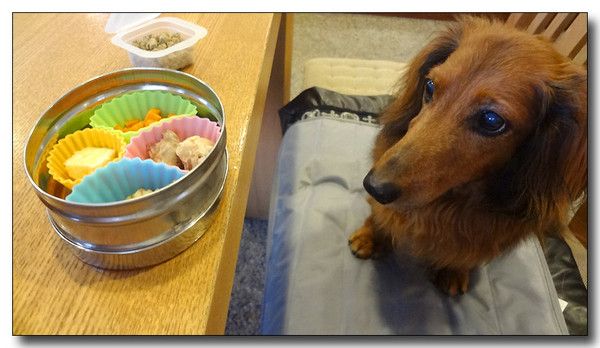 20130805181835.JPG