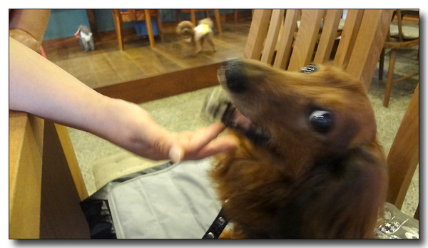 20130805181852.JPG