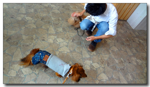 20130805183639.JPG