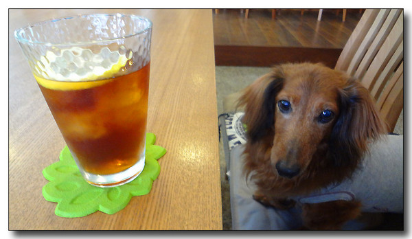 20130805191811.JPG