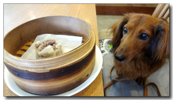 20130805191812.JPG