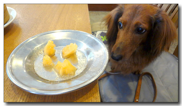 20130805191834.JPG