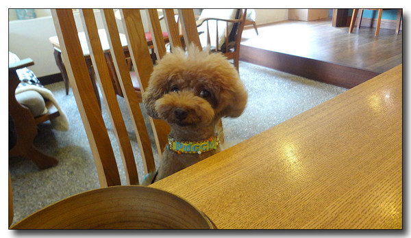 20130805191835.JPG