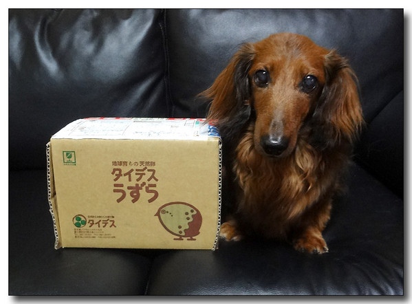 20130807190124.JPG