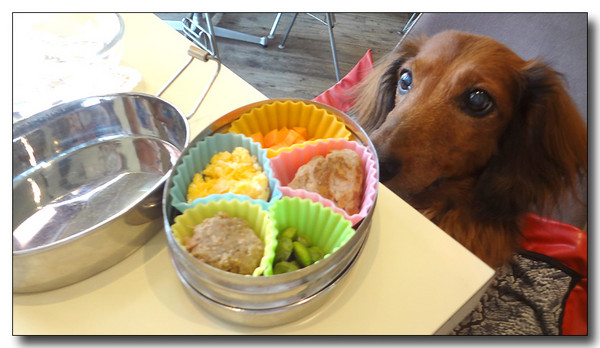 20130810171701.JPG