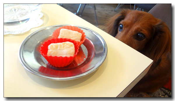 20130810171725.JPG