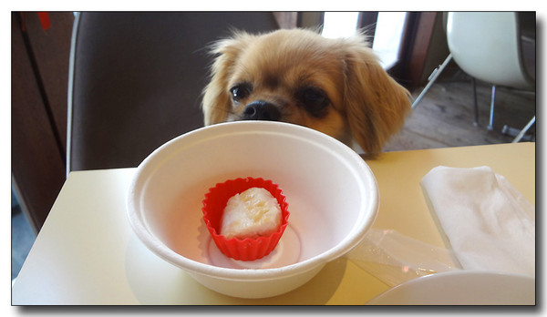 20130810171726.JPG