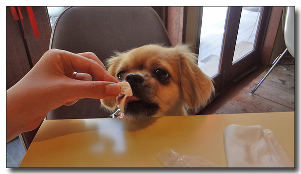 20130810171727.JPG