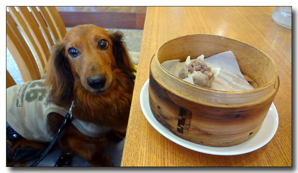 20130811001531.JPG