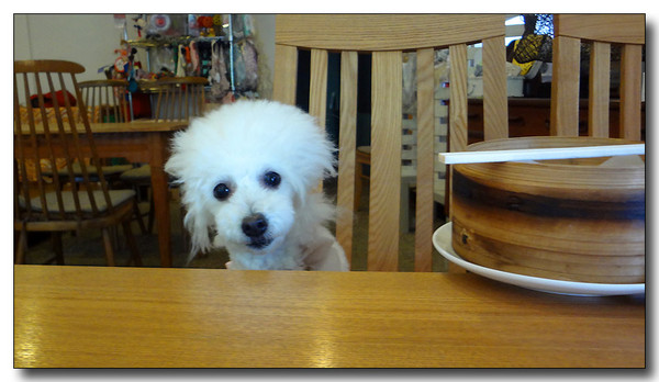 20130811001532.JPG