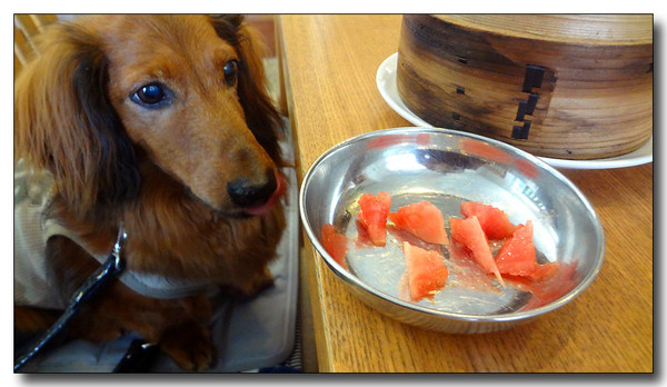 20130811001553.JPG