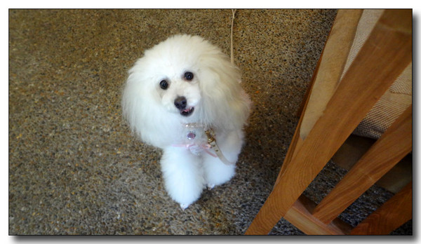 20130811001556.JPG