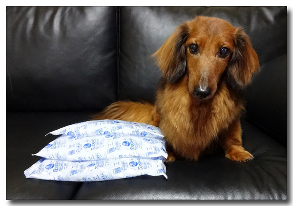 20130811003859.JPG