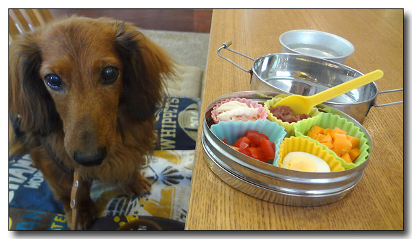 20130811161259.JPG