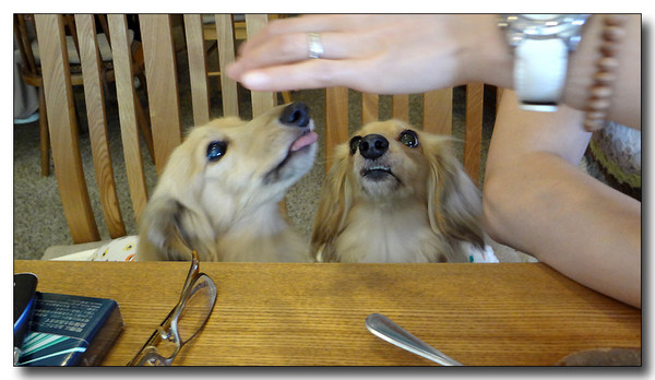 20130811161325.JPG