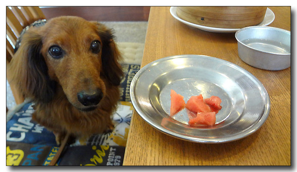 20130811161326.JPG