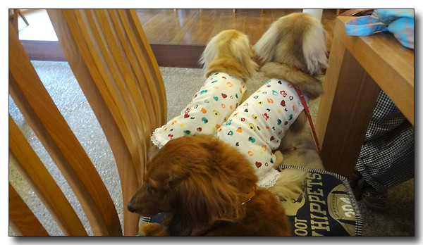 20130811161327.JPG