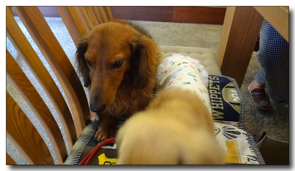 20130811161343.JPG