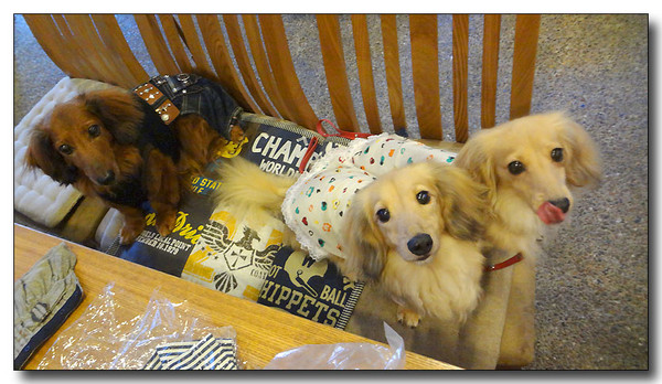 20130811161649.JPG
