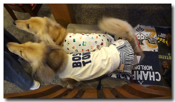 20130811161650.JPG