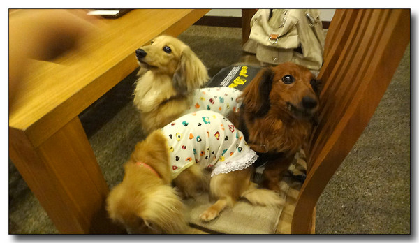 20130811161832.JPG
