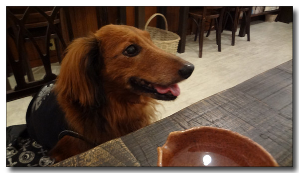 20130811170534.JPG