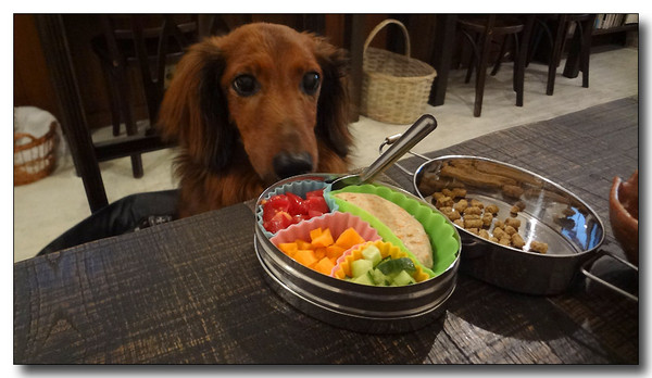 20130811170536.JPG