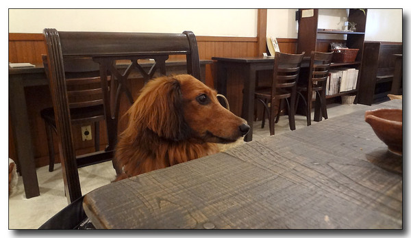 20130811170546.JPG