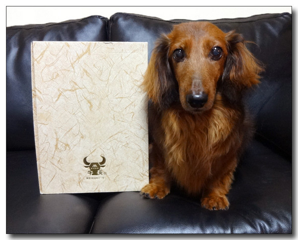 20130811235431.JPG