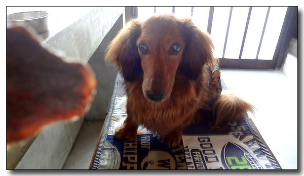 20130814211221.JPG