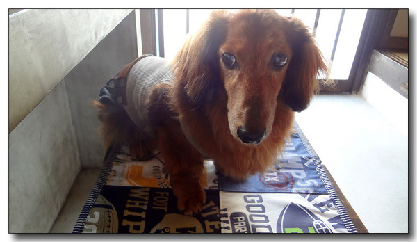 20130814211223.JPG