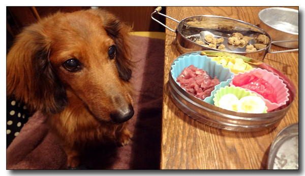 20130815094043.JPG