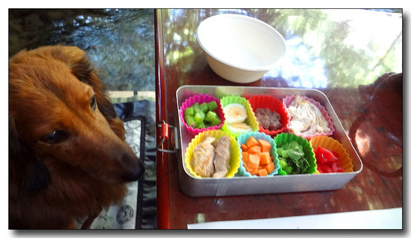 20130815151333.JPG