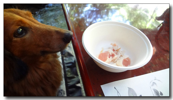 20130815151334.JPG