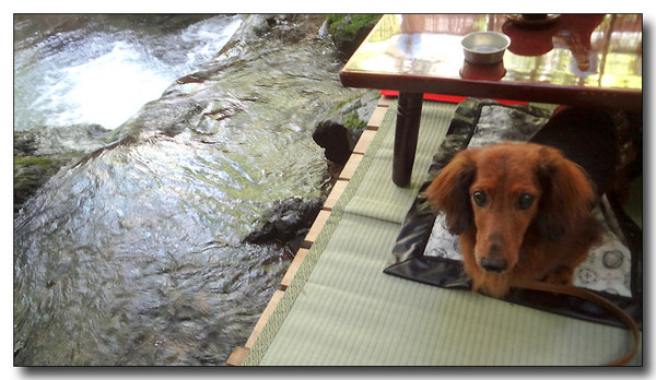 20130815151354.JPG