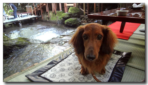 20130815151356.JPG