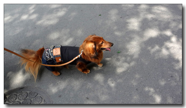 20130815151357.JPG