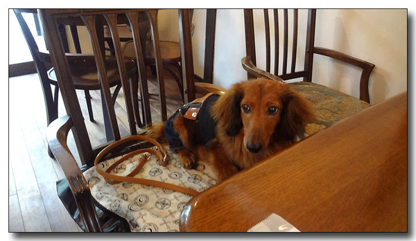 20130815183636.JPG