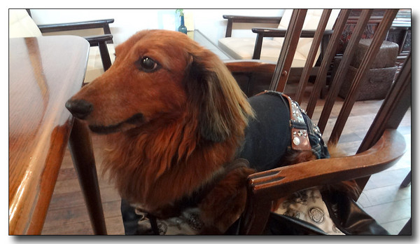 20130815183717.JPG