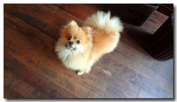 20130815183719.JPG